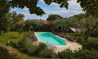 Villa Monacelli - Housity