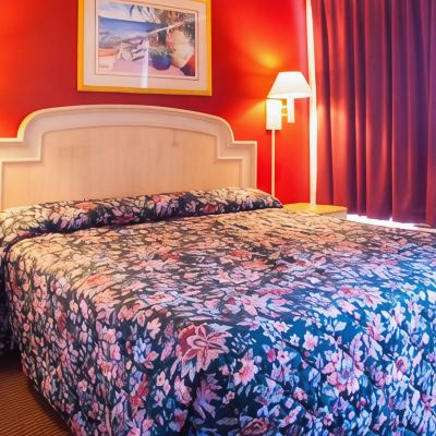 Double Room Scottish Inn Downtown Jacksonville Promo Code