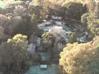 Idyllic Log Cabin with Log-fired Hot Tub nestled in a Forest Clearing Hotels in Wareham