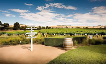 a wooden signpost with multiple directions signs , including one pointing to a specific location , surrounded by green grass and vineyard at Barossa Gateway Motel