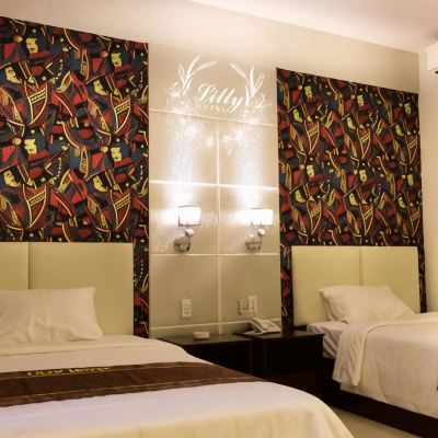 Superior Twin Room with City View Lilly Hotel Promo Code