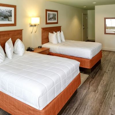 Standard Room, 2 Double Beds Peaks of Otter Lodge Promo Code