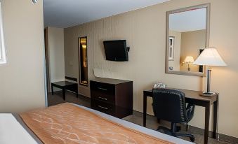 Comfort Inn & Suites Muncie