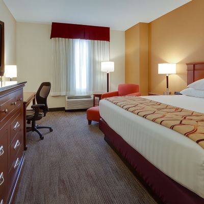 Deluxe Room, 1 King Bed, Refrigerator&Microwave (Jetted Tub)