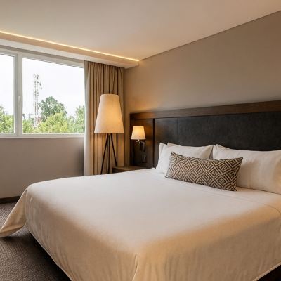 Suite King Movich Hotel Las Lomas Promo Code