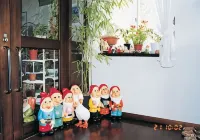 Pension Arumish
