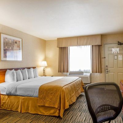 Executive King Room Quality Inn Petaluma Promo Code