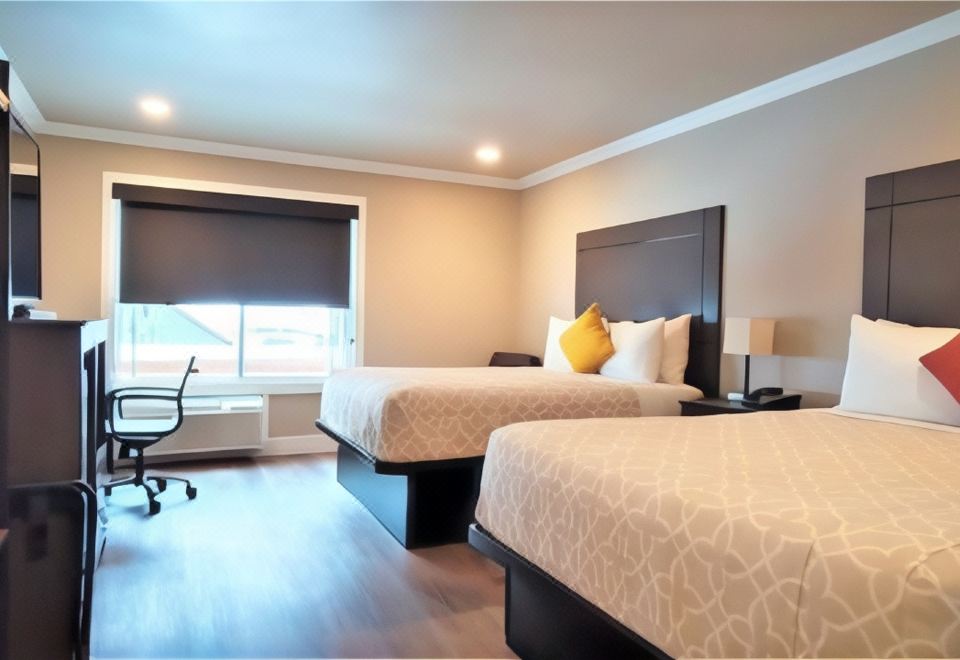 带2张大床的高级大床间