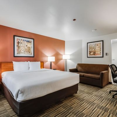 Room, 1 King Bed, Accessible, Non Smoking (Upgrade) Quality Inn Petaluma Promo Code