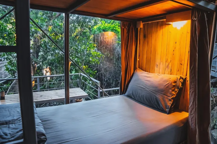 Standard Dormitory Bunk