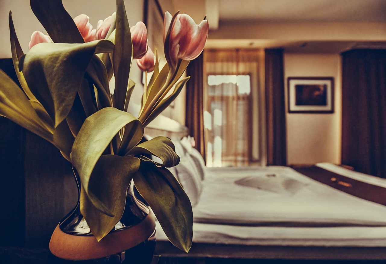 Hotel Cherica甄选套房