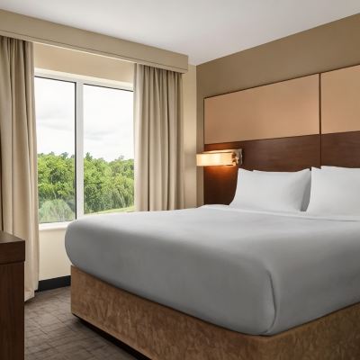 King Mountain View, Studio, 1 King, Sofa Bed, Mountain View Residence Inn by Marriott Kingston Promo Code