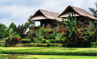 Tegal Sari Accommodation Ubud