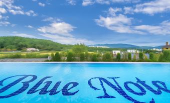 Gyeongju Blue Note Pension (Infinity Pool)