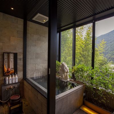 Standard Mountain View Japanese-Style Room Lower Floor Hakone Airu Promo Code