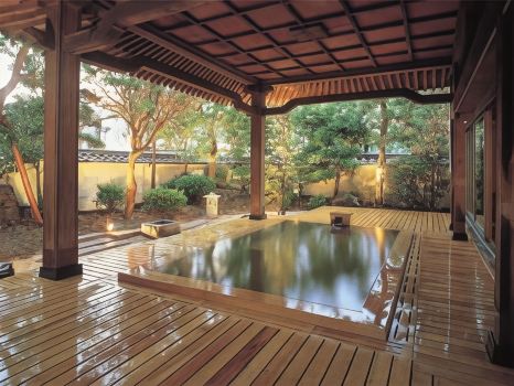 Hotel Saginoyu