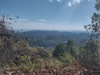 Remote cabin with gorgeous view and sunsets, pets free, fast Wi-Fi!