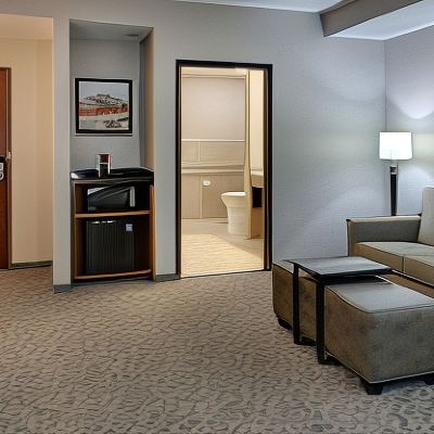 King Suite with Sofa Bed-Hearing Accessible,Roll-in Shower