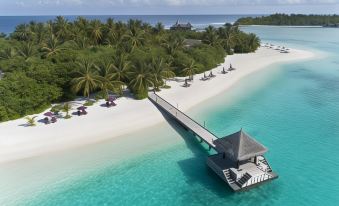 Summer Beach Maldives