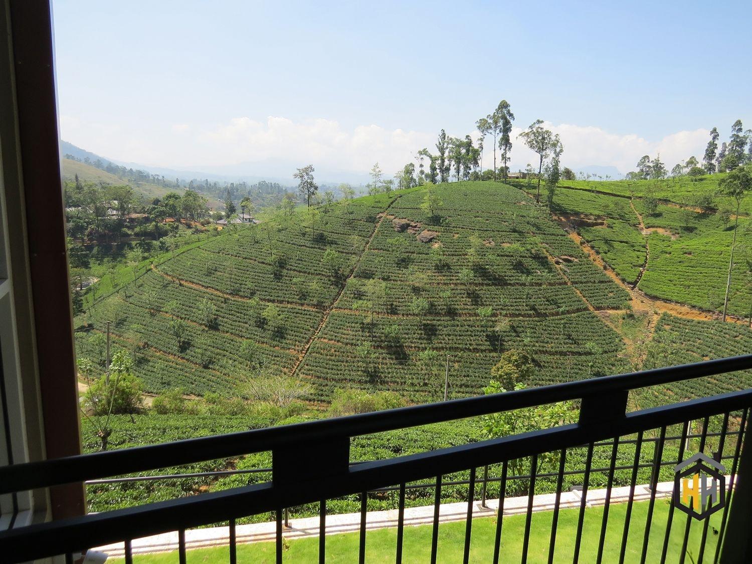 豪华双人房，1卧室，禁烟，山景