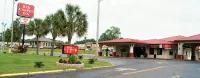 Red Carpet Inn - Natchez