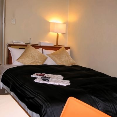 Annex Double Non-Smoking [Standard] [Superior] [Double Room] [Non-Smoking] [No View] 柏プラザホテル ANNEX クーポン