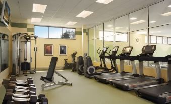 a gym with various exercise equipment , including treadmills and weight machines , is shown in this image at Sonesta Milwaukee West Wauwatosa
