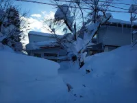 Ha-Mon