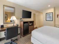 Best Western Oceanside Inn Hotels in Oceanside