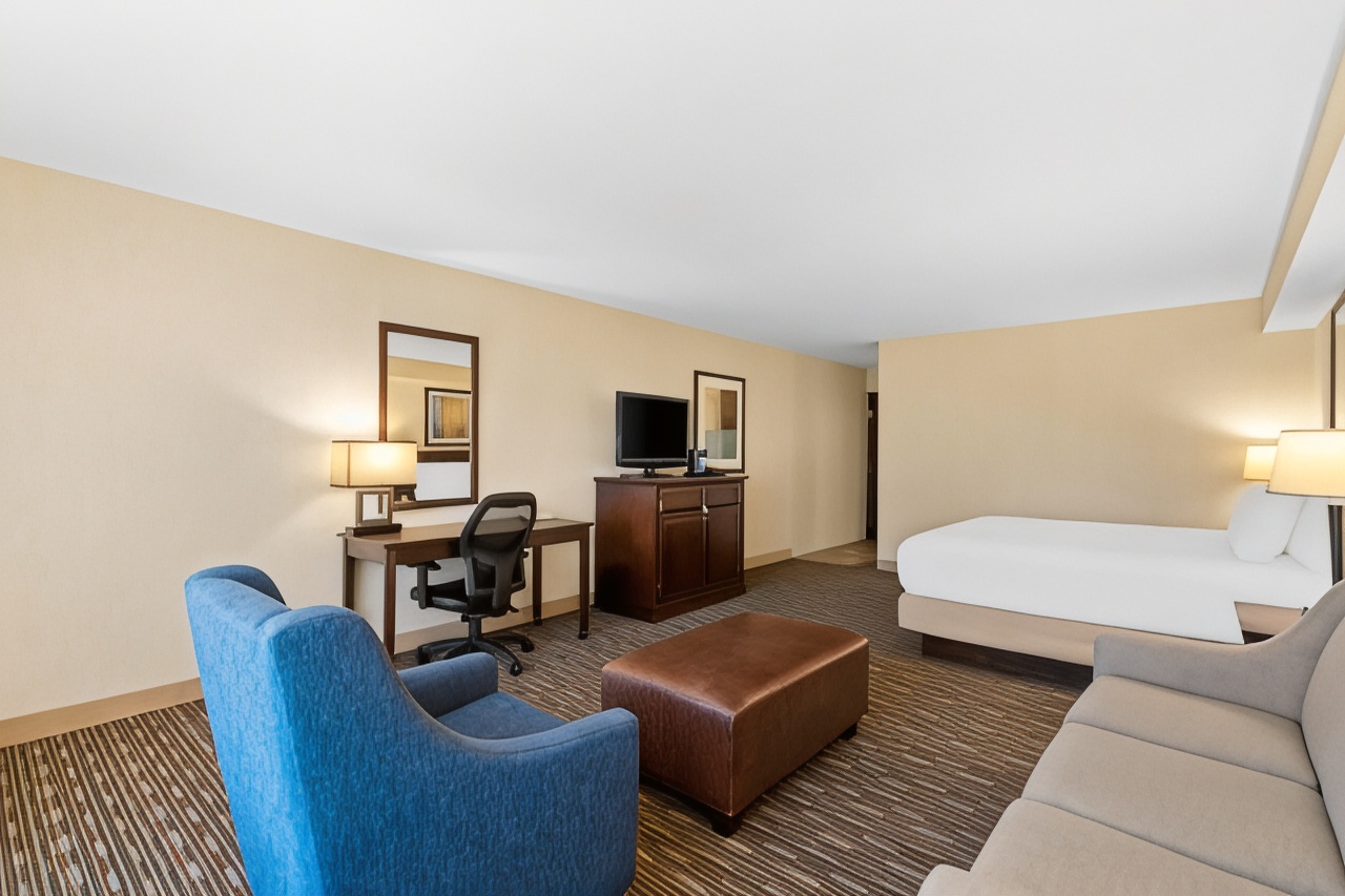 标准房， 1张特大床， 无烟房 （较大的房间）