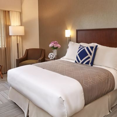Queen Room Rizzo Center Promo Code