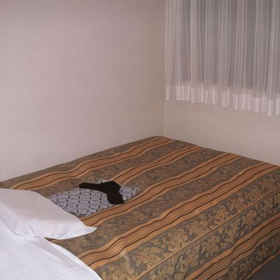 ダブルルーム(浴室)(喫煙) ホテルターミナルアートイン クーポン