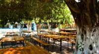 Social Camping JAL Ξενοδοχεία στην πόλη 
