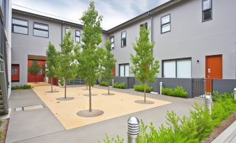 a courtyard with several trees and plants , as well as a fountain in the background at The Star Apartments