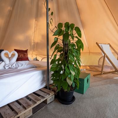 Tikaokao Private Ensuite Tent with Fan Roost Glamping Promo Code