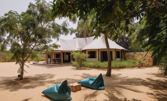 a house surrounded by trees and grass , with several bean bags placed on the ground at Karpaha Sands
