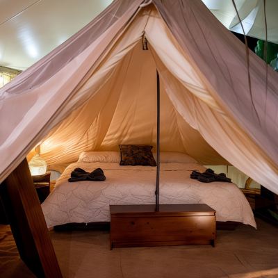 Luxury Tent, 2 Queen Beds, Courtyard View