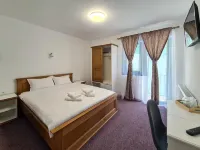 Casa Basarab Hotels in 