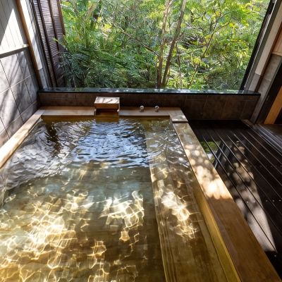露天風呂付き和室 鶴巻温泉 元湯陣屋 クーポン