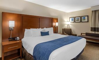 Comfort Inn Nashville – Opryland Area