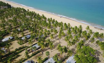 aerial view of a tropical beach with palm trees and a row of beachfront houses at Karpaha Sands