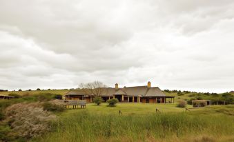 a large house with a grassy field in front of it , surrounded by trees and clouds in the sky at Bukela Game Lodge - Amakhala Game Reserve