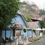 Black Bear Manor