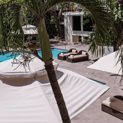 HS Hotsson Hotel Tampico Hotels in 