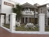 Hotel Lihuel  호텔