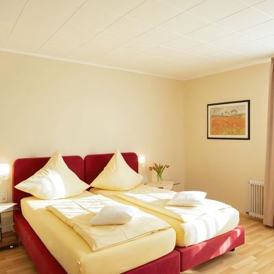 Double Room, South Side, No Balcony Waldhotel Sonnenberg Promo Code