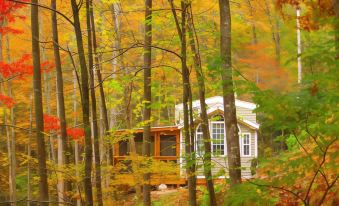 The Owl's Perch - Housity