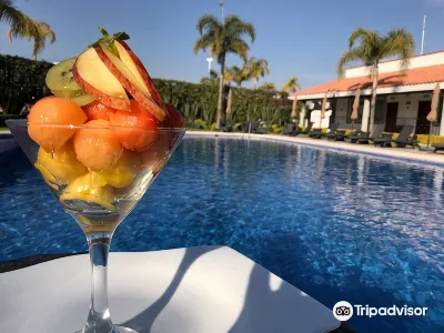 Hotel Ecce Inn & Spa Hotels in 