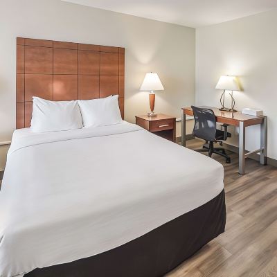 Standard Queen Room Pet Friendly-Non Smoking Comfort Suites Merrillville Near US 30 Promo Code