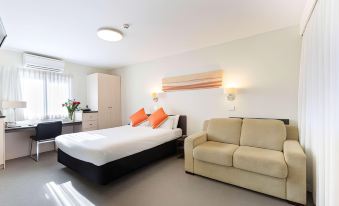 a modern hotel room with a bed , couch , and desk , along with sunlight streaming through the window at Ibis Styles Canberra Tall Trees